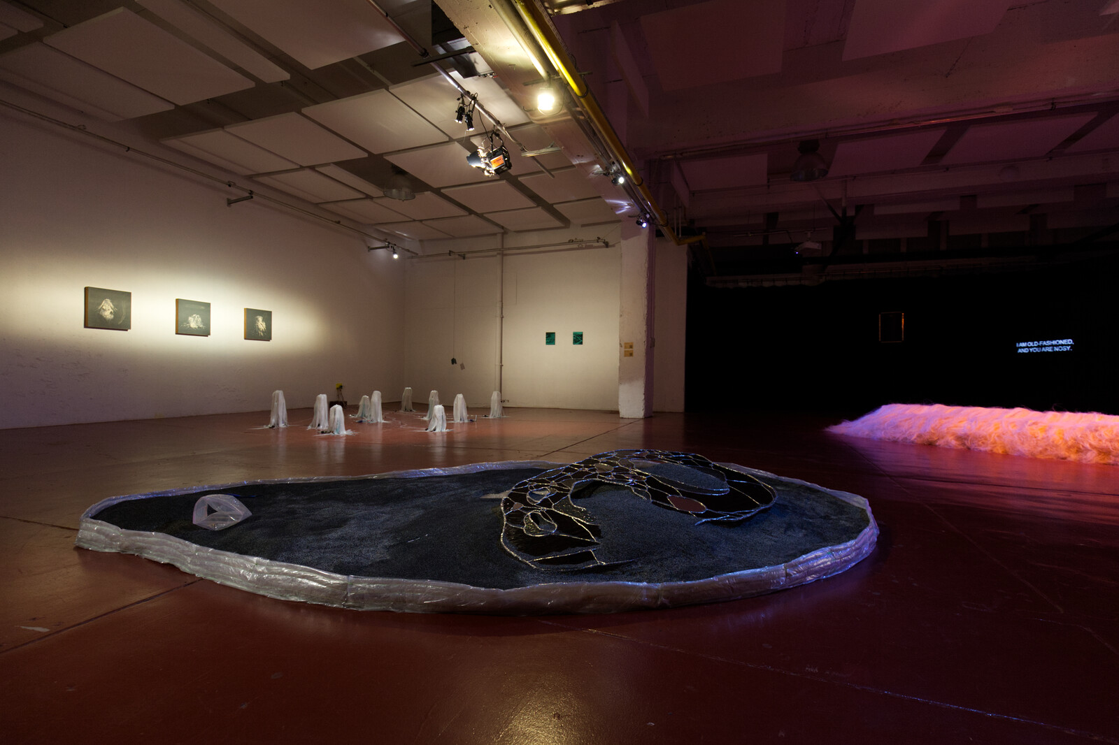 overview — Anna, Arieh & Maria